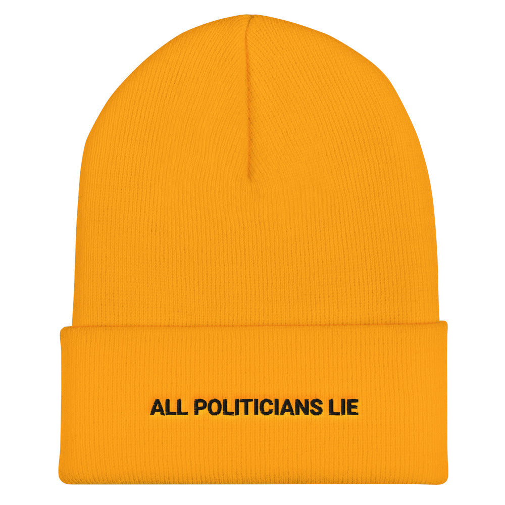 All Politicians Lie Beanie